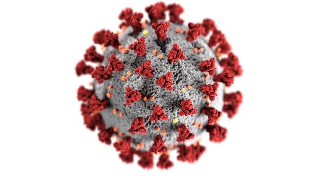 Nghiên cứu: Người dân ở năm tiểu bang tại Hoa Kỳ đã nhiễm bệnh trước khi các trường hợp coronavirus đầu tiên được xác nhận