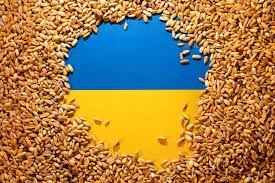 Thương vụ 120 tỷ đô la ngũ cốc của Ukraine bị thay đổi do chiến tranh của Nga