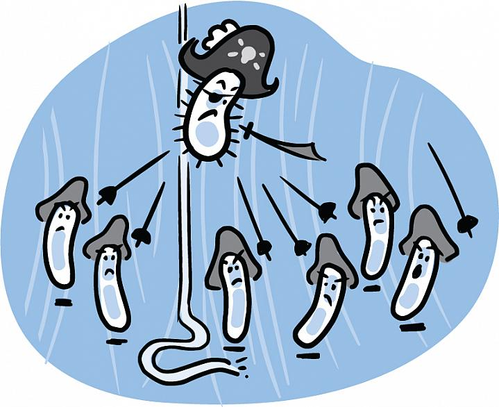 Vi khuẩn trong người bạn và bạn (Your Microbes and You)