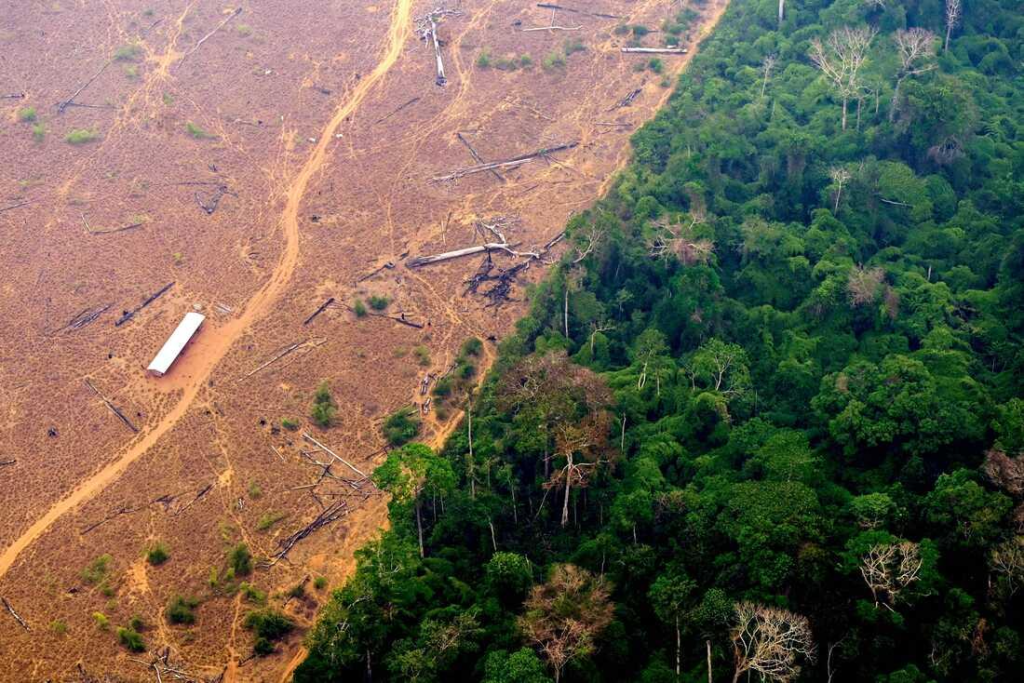 Tại sao phá rừng có nghĩa là mưa ít trong vùng nhiệt đới?